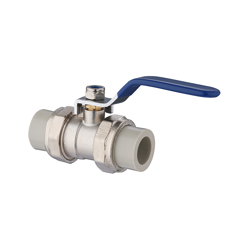 XFM-0129 PPR Double Union Ball Calve